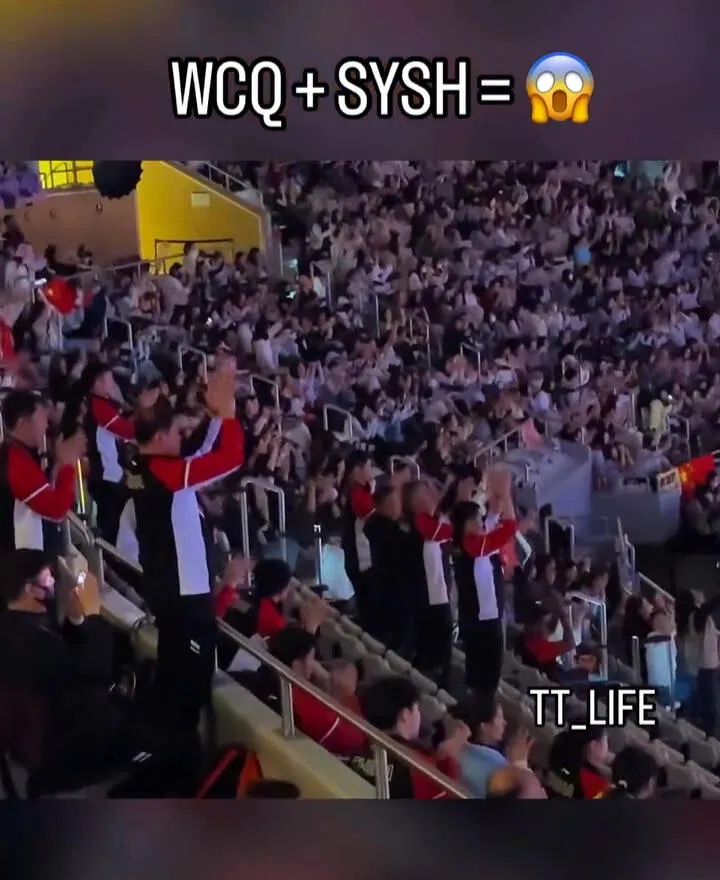 战术调整首场状态出色，德国队观众沸腾！，Scout重返赛场赢得满堂喝彩的简单介绍